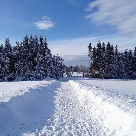 Stunning In * Winterberg