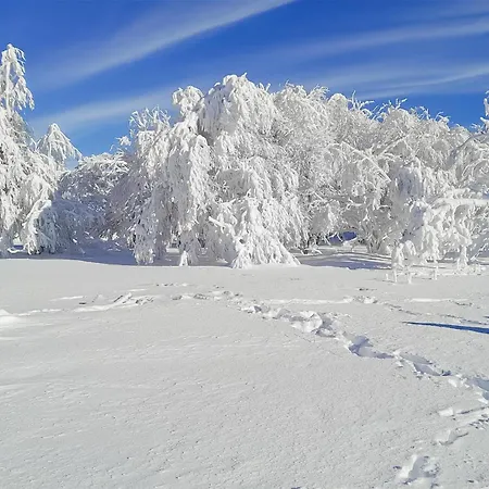 Stunning In Appartement *