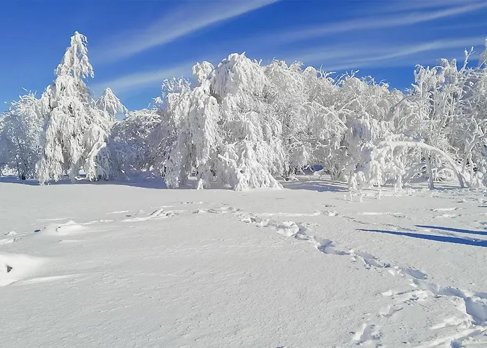 Stunning In Appartamento *